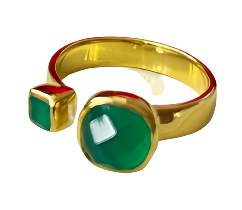 Jada Onyx + Recycled Gold Ring