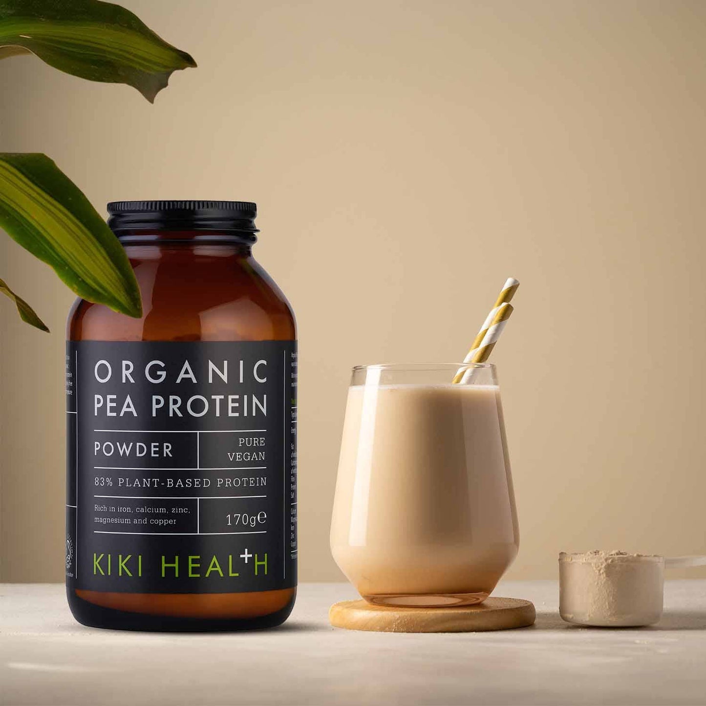 Organic Vegan Pea Protein Powder 170g