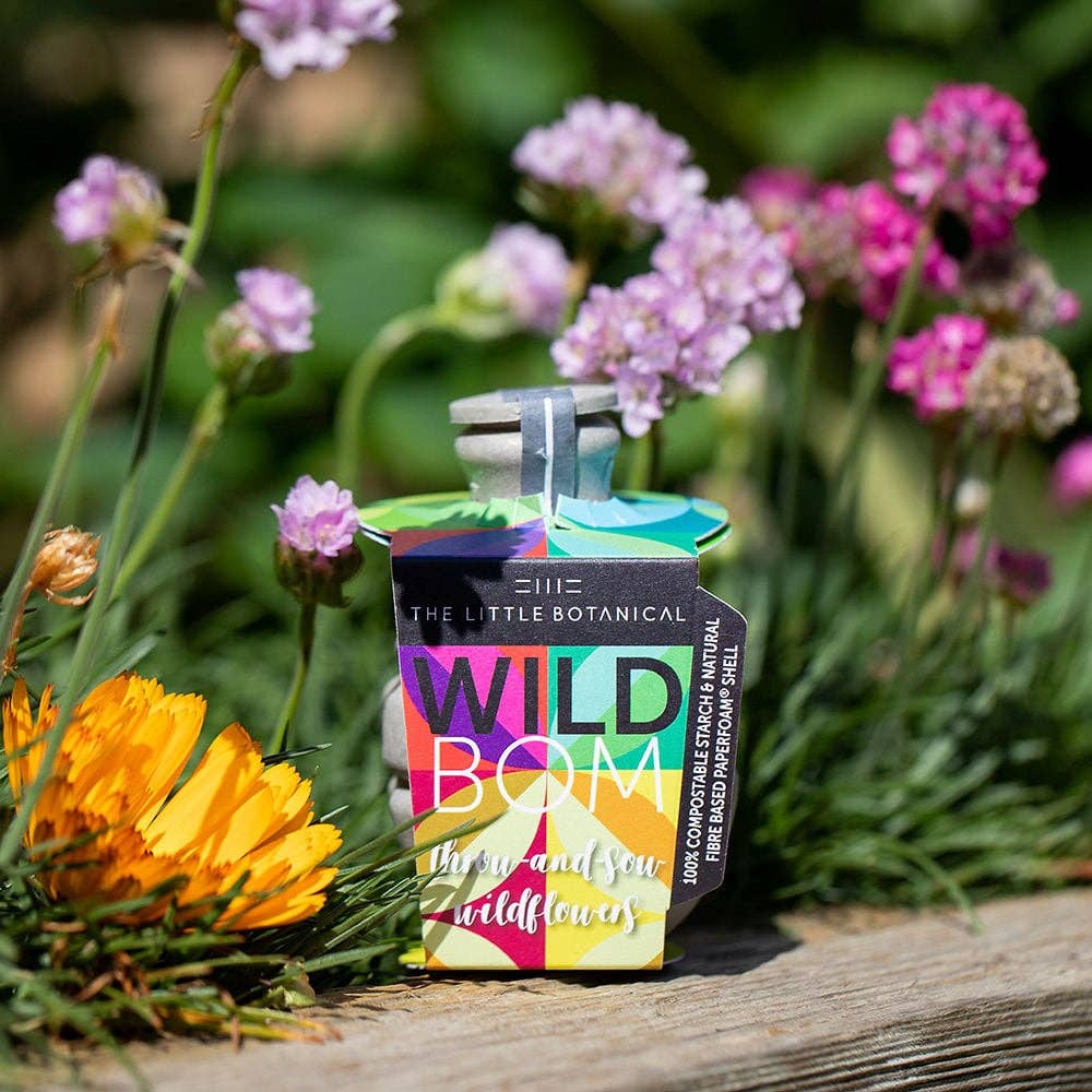 Wildbom - Wild Flower Seedbom: Small Outdoor Plants