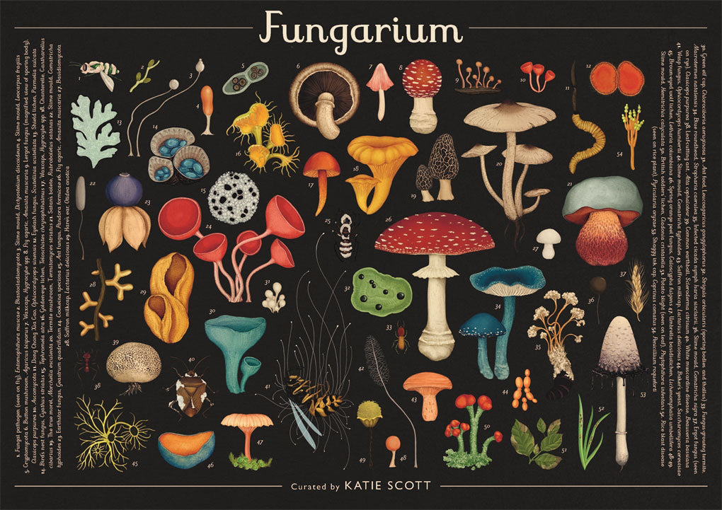 Fungarium 1000 Piece Jigsaw Puzle