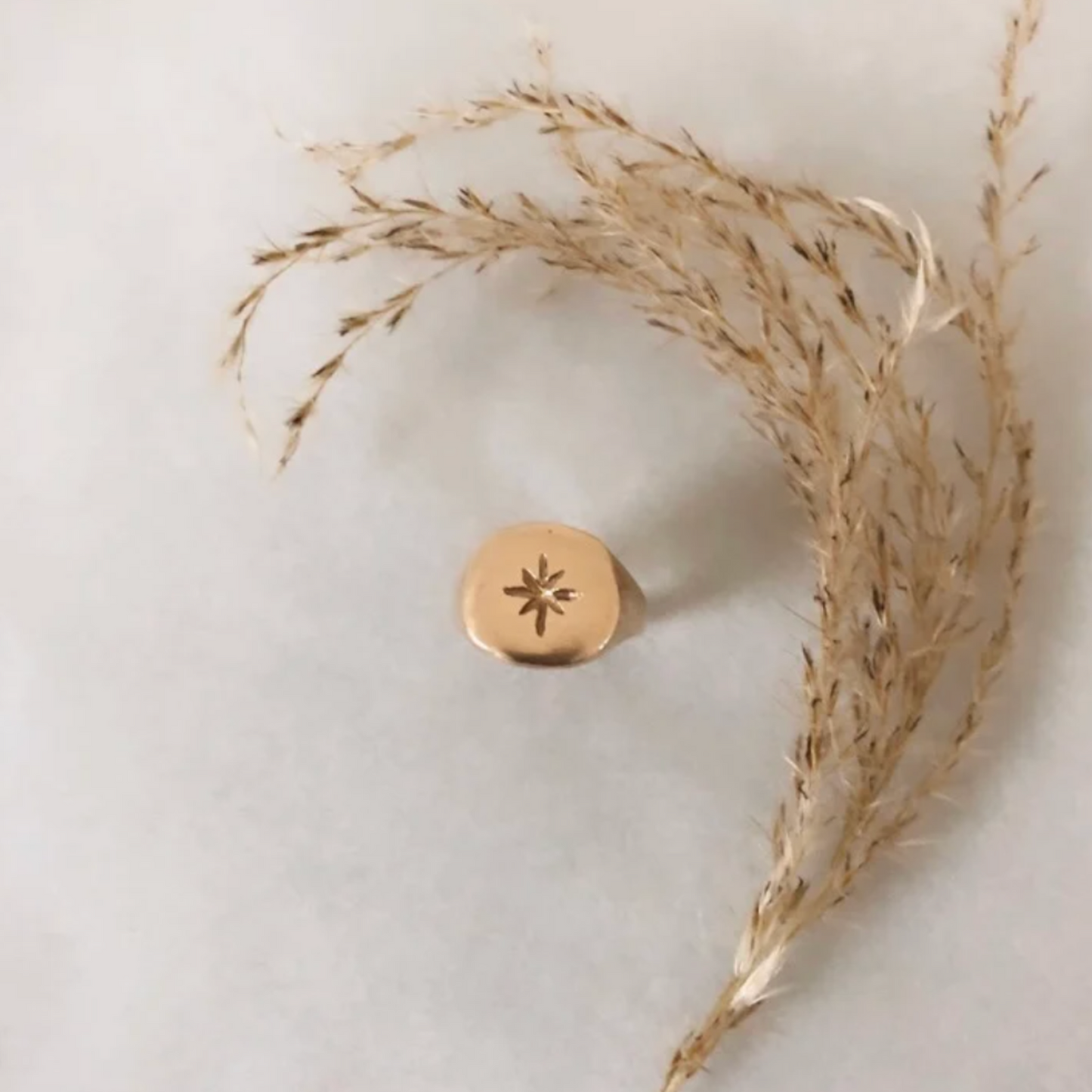 Ursula Chavelier Pinky Ring Large