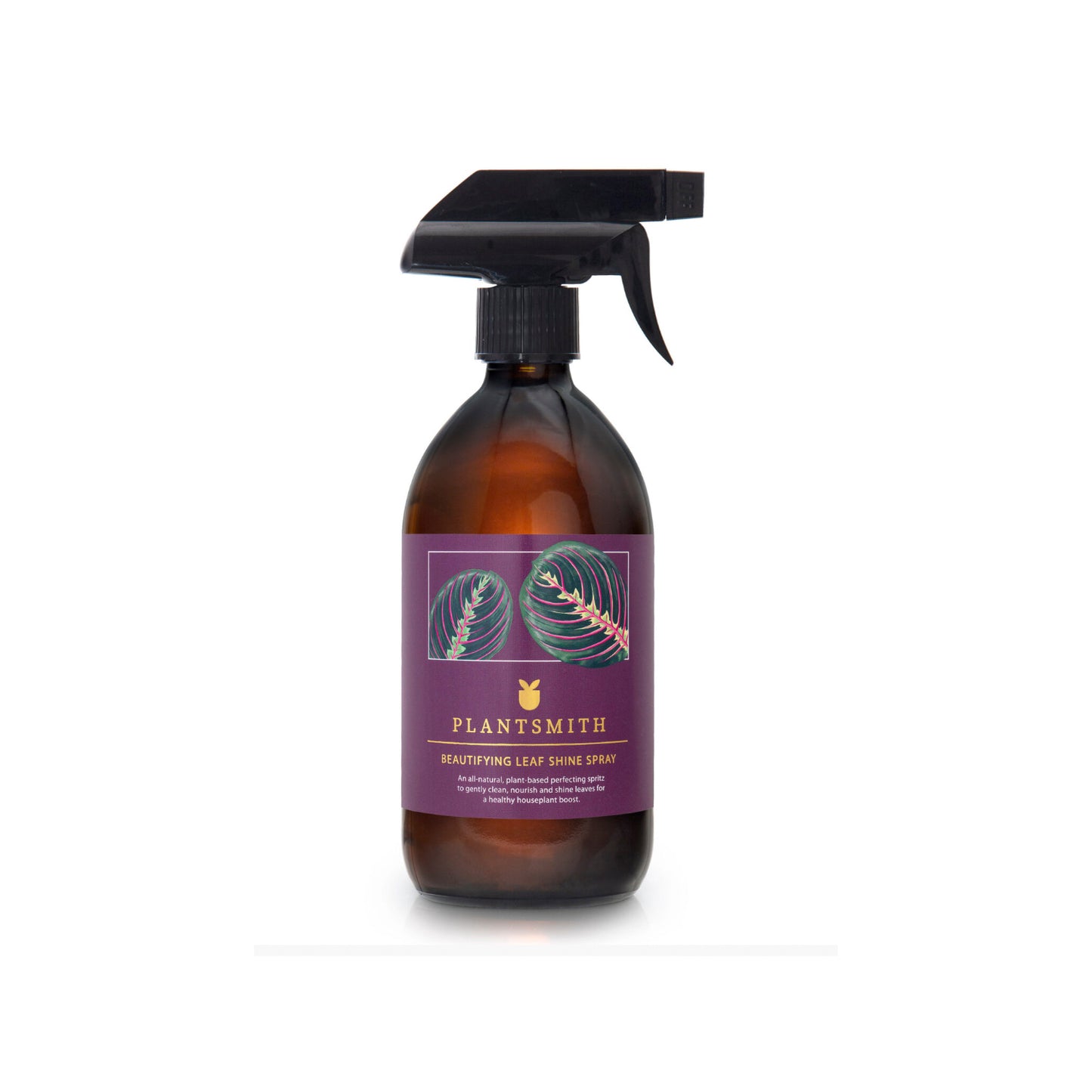 Beautifying Leaf Spray Shine 500ml