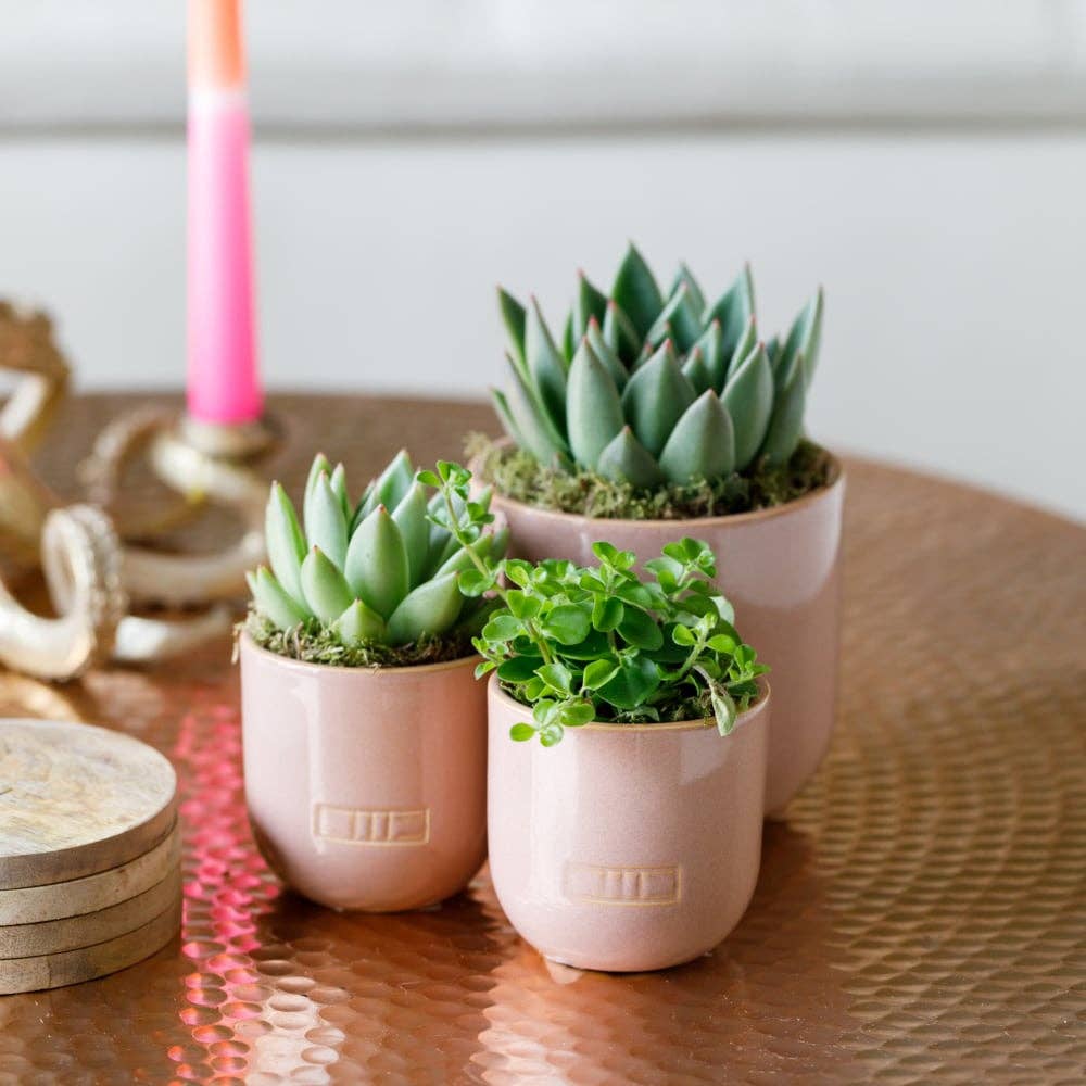 Mini Indoor Glazed Pot I Blush