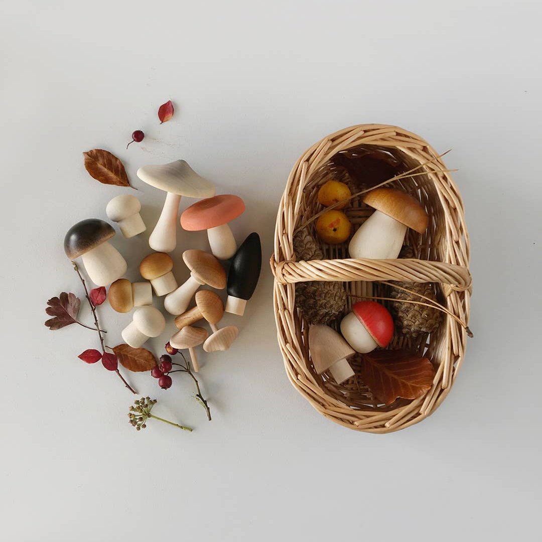 Forest Mushrooms Basket