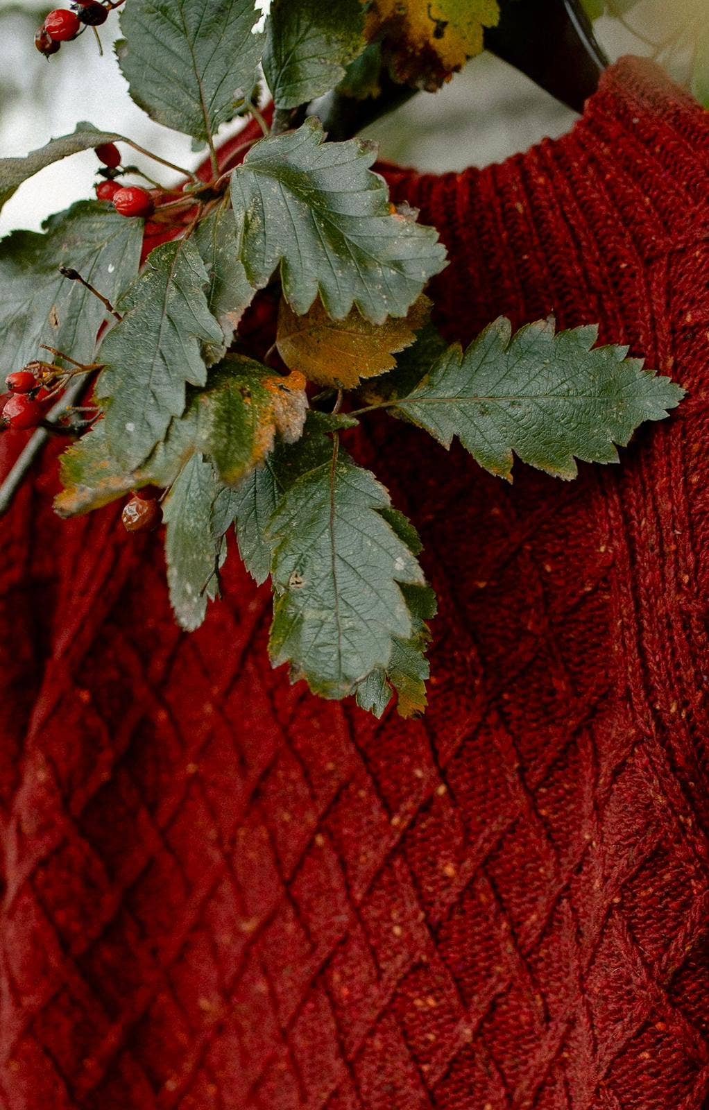 Donegal Aran Sweater in Brick Red