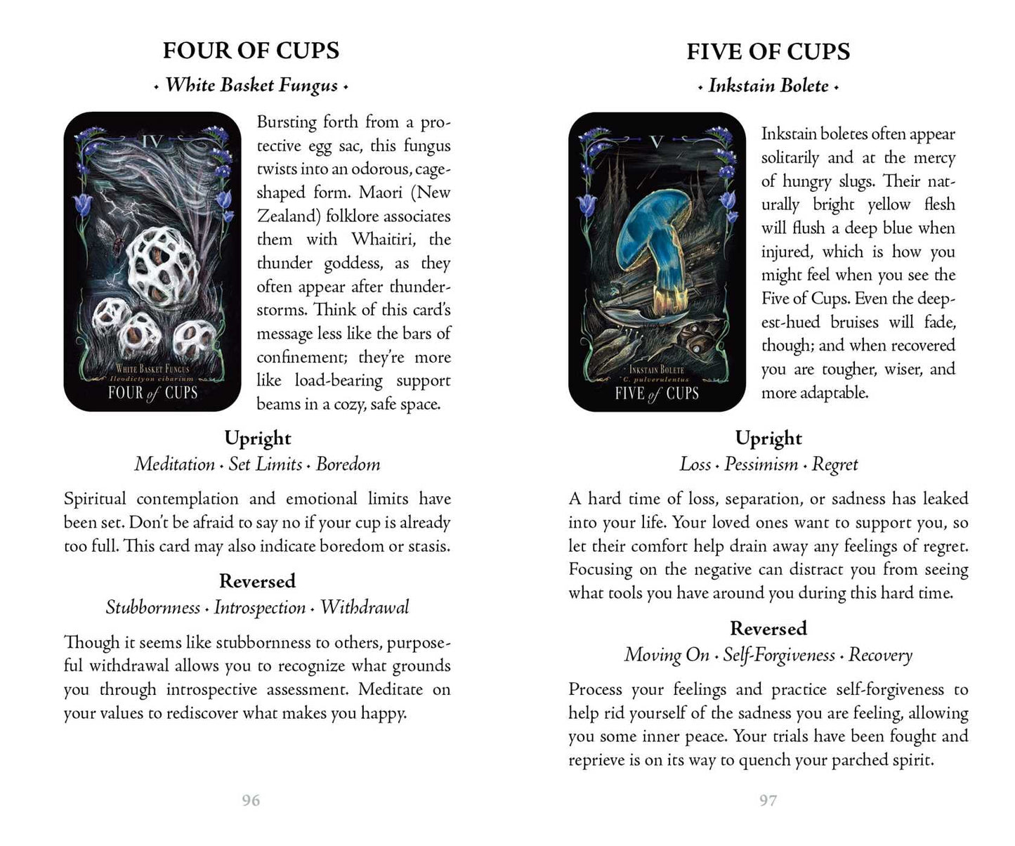 Midnight Magic Tarot Deck