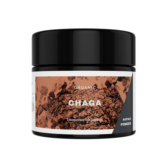 Chaga Mushroom Extract Powder - Organic - 30g