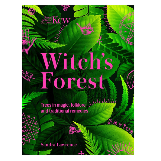 Witch’s Forest