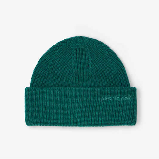 Merino Wool Embroidered Beanie - Alpine Fern