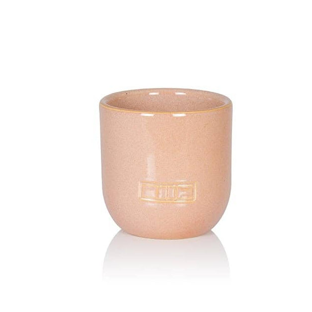 Mini Indoor Glazed Pot I Blush