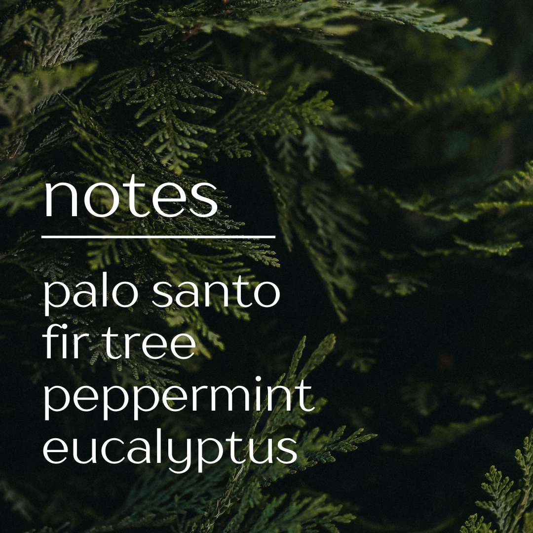 Whispering Forest - Christmas Blend - 2-Wick