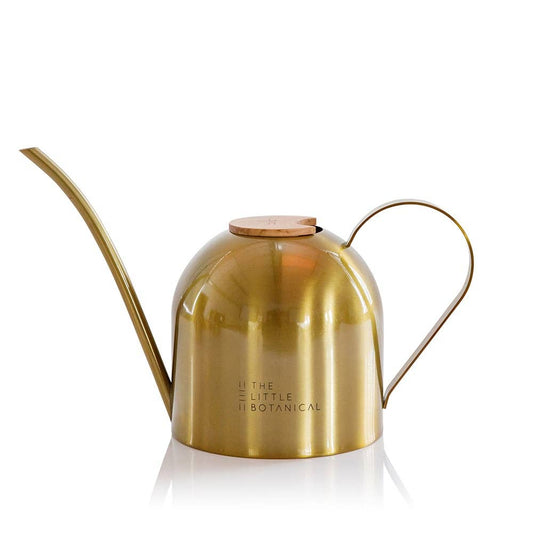 Gold Watering Can I Medium