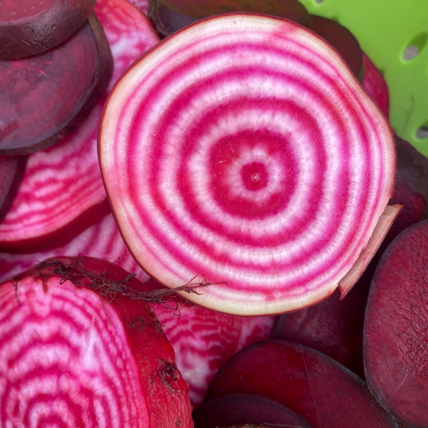 Beetroot