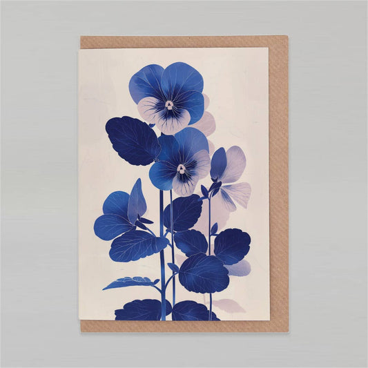 Viola