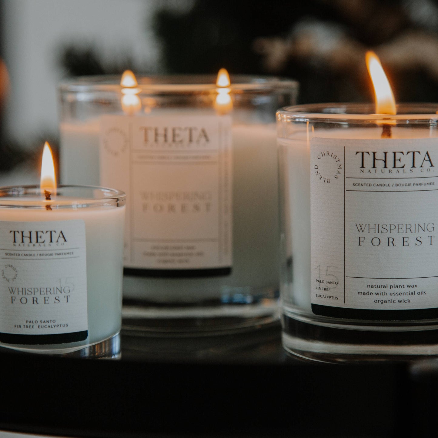 Whispering Forest - Christmas Blend - 2-Wick