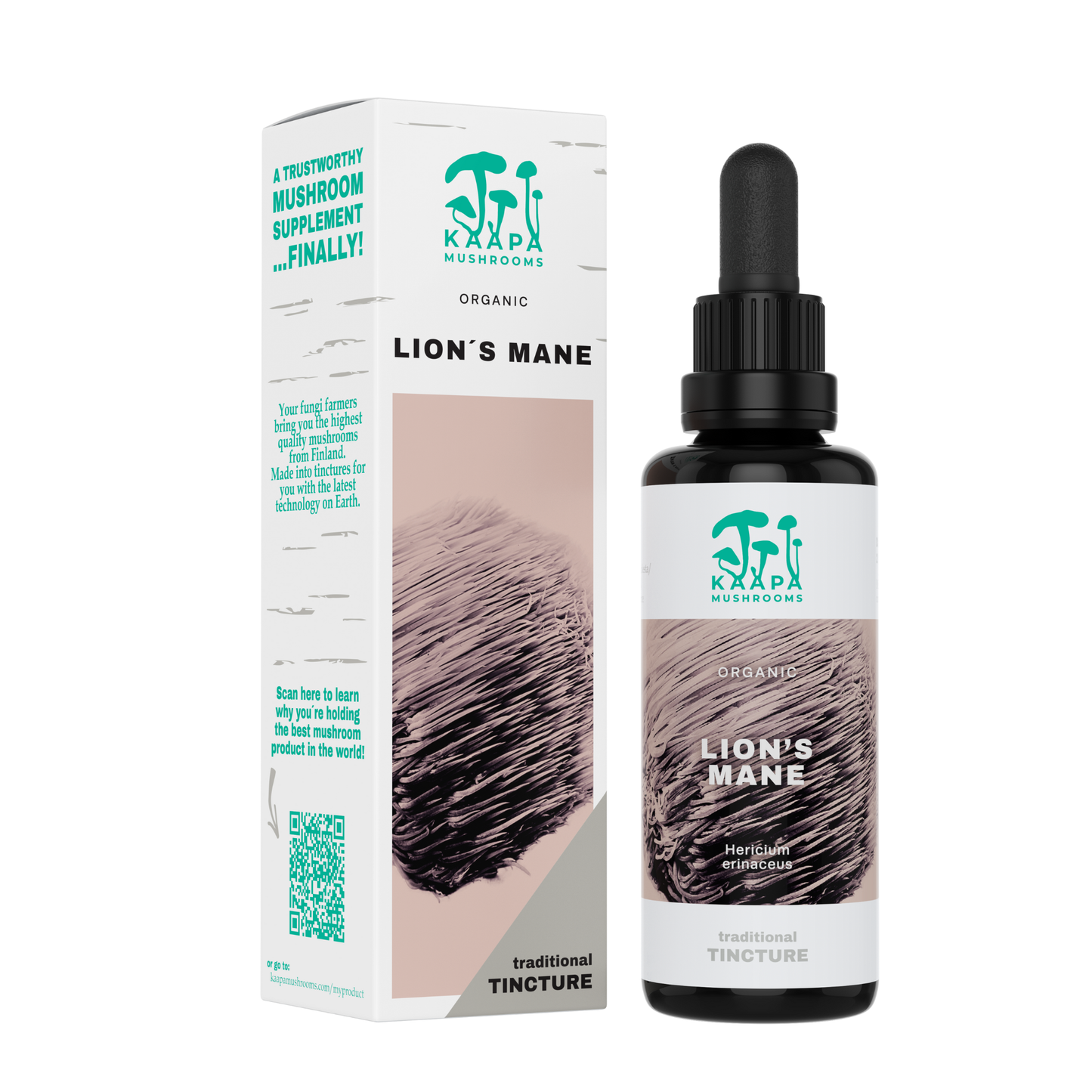 Lion's Mane Mushroom Organic Extract Tincture