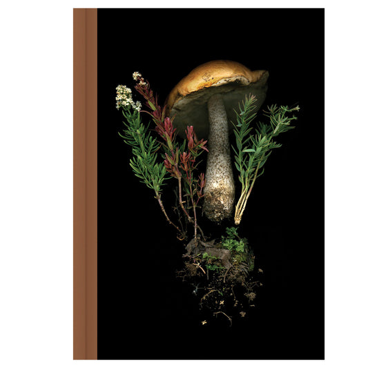 Deep Forest Mushroom Journal