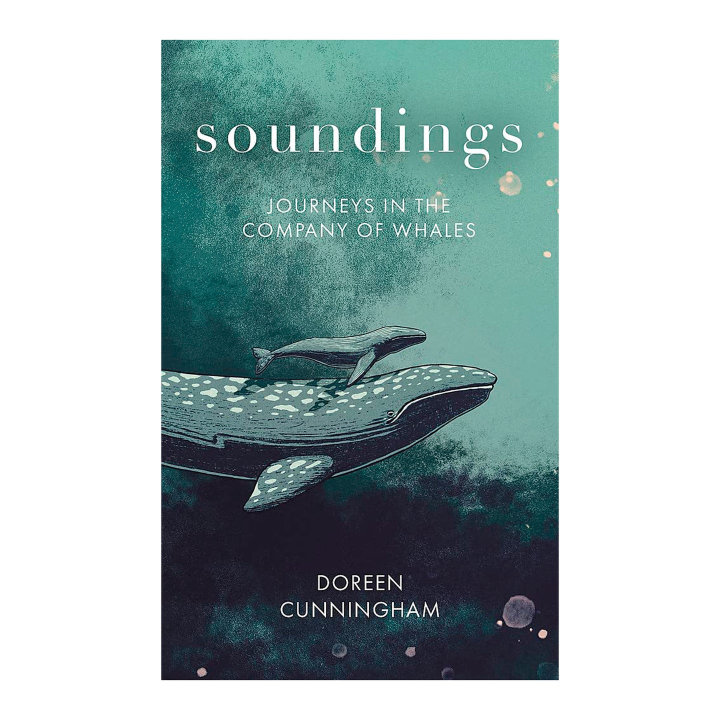 Soundings I Journeys In The Company Of Whales